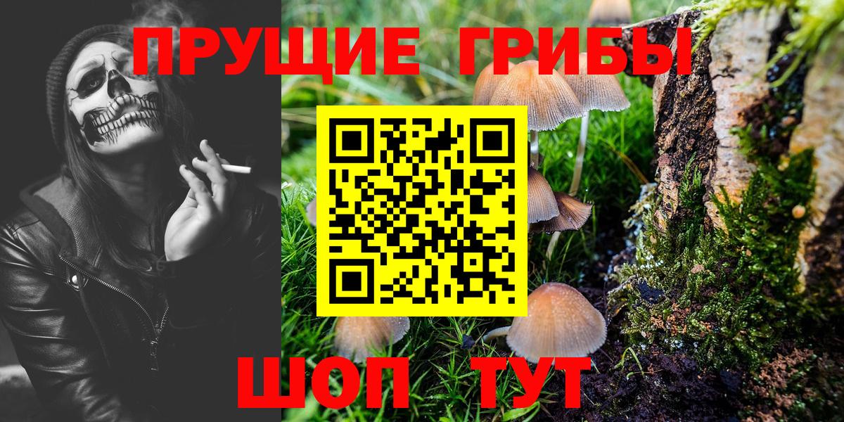 Псилоцибиновые грибы ЛСД  Псилоцибиновые грибы ЛСД  Вход с VPN  Печора 