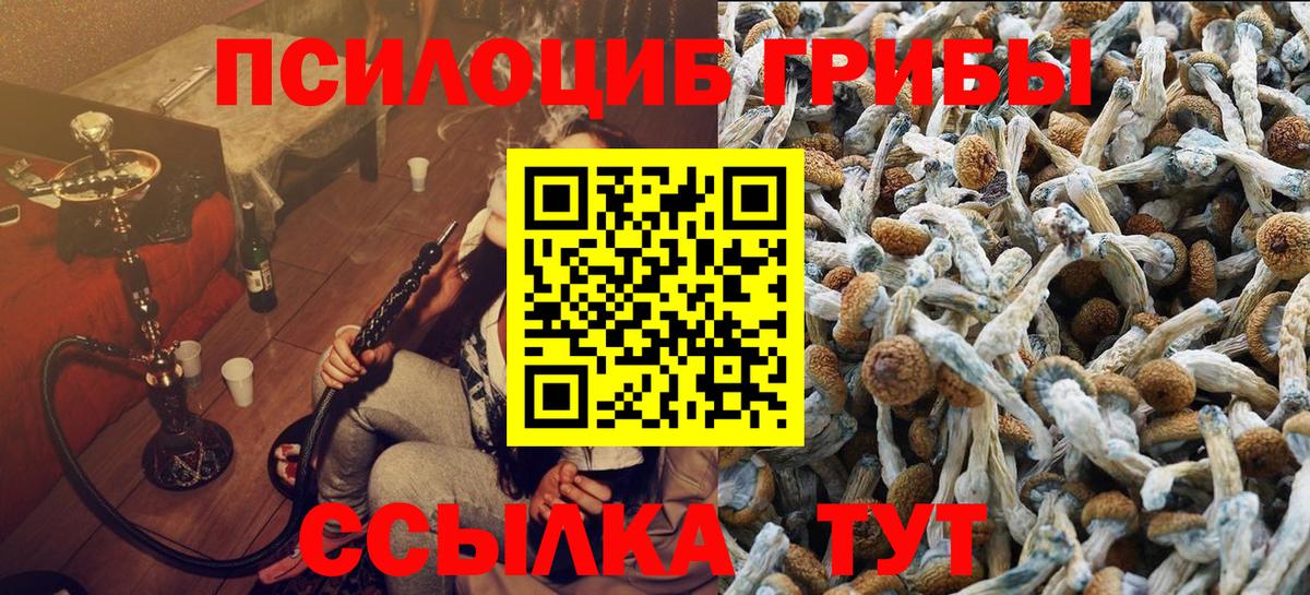 Галлюциногенные грибы мухоморы Печора